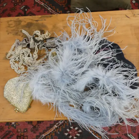 BAG ASST VINTAGE BAGS / FEATHER BOA ETC..