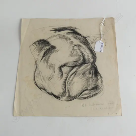 H.L. RICHARDSON SKETCH BULLDOG 285 x 285mm