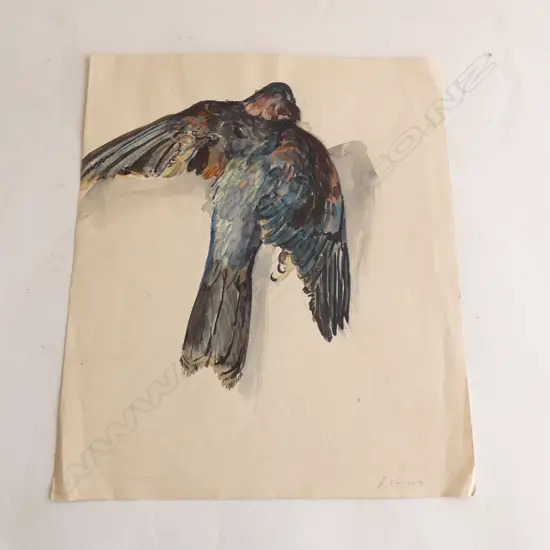 H.L. RICHARDSON W/C DEAD BIRD 250x300mm