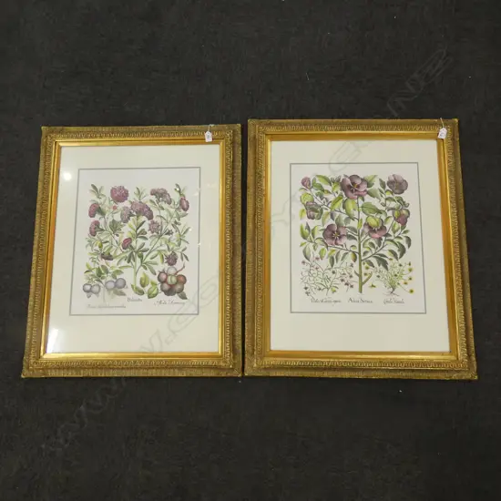 2 LG GILT FRAMED BOTANICAL PRINTS  530 X 440MM Ex Sultan of Brunei
