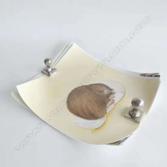 12 ASST NZ JANE SEABROOK BIRD PRINTS 350 X 310MM