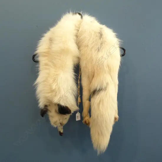 WHITE FOX FUR STOLE