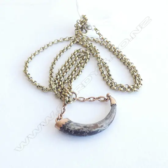 c1900 9CT MOUNTED CLAW PENDANT ON R.G. CHAIN