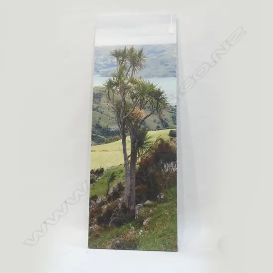 PRINT ON CANVAS 'CABBAGE TREE AKAROA' BY BILL IRWIN - WITH CERTIFICATE 1000 X 365MM
