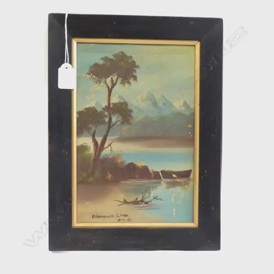 OIL - SOUTH ISLAND LAKE SCENE, SIGNED WITH INITIALS CDG