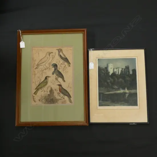 JOSEPH KIRKPATRICK CASTLE PRINT + ANTIQUE BIRD LITHOGRAPH 300x210mm