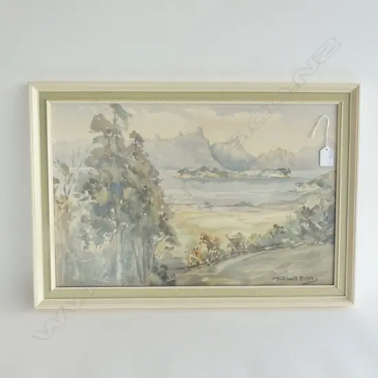 BIRTCHENELL DELPH W/C WHANGAREI HEADS 340x520mm