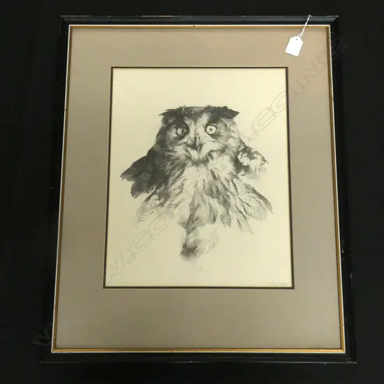 BRENT HARVEY (b.1955) STUDY OF A MOREPORK / RURU, PENCIL, SIGNED. 380 x 400mm