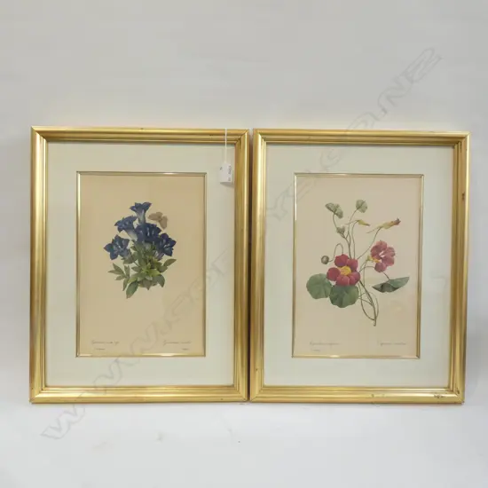 PR GILT FRAMED BOTANICAL PRINTS 230 X 340MM