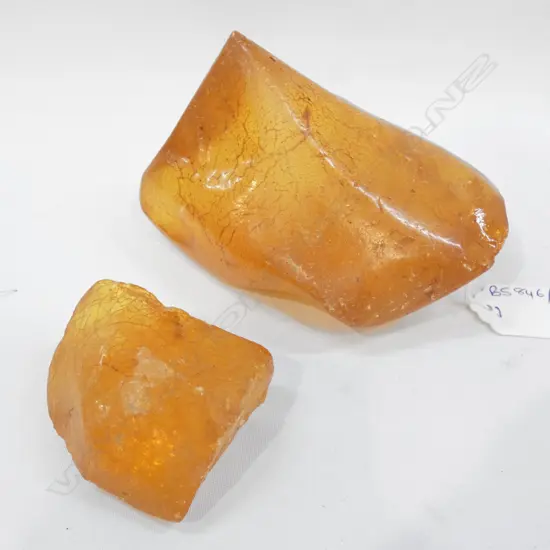 2 KAURI GUM PIECES 265 & 54 GRAMS