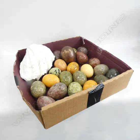 BOX ASST MARBLE EGGS  & PR CLAM SHELLS L 190MM