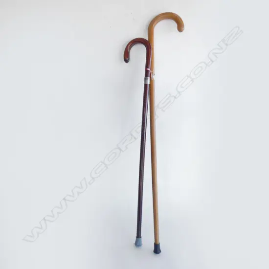 TWO OLD WALKING STICKS