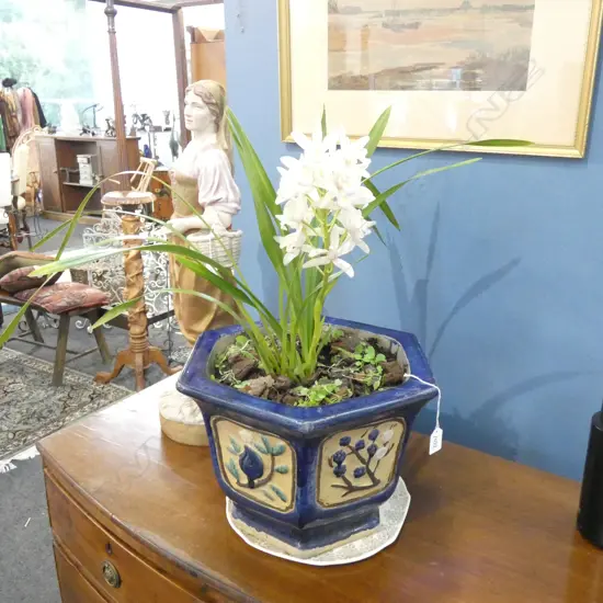 MING STYLE PLANTER w. WHITE ORCHID