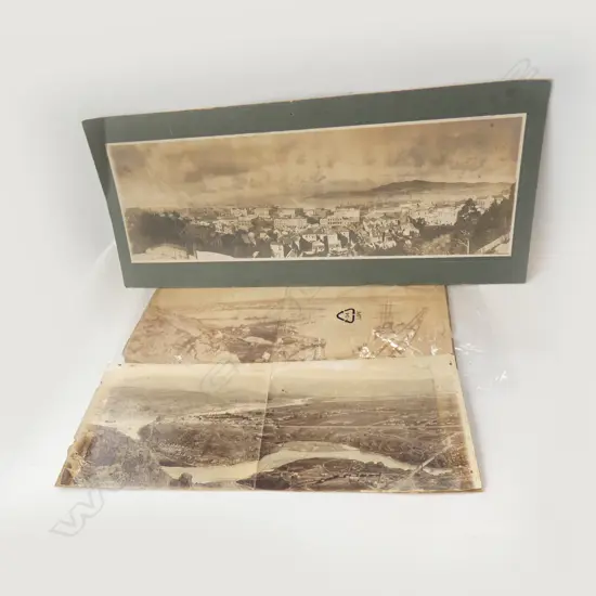 3 OLD NZ PHOTOGRAPHS EX HARDWICKE KNIGHT COLLECTION 165x420mm