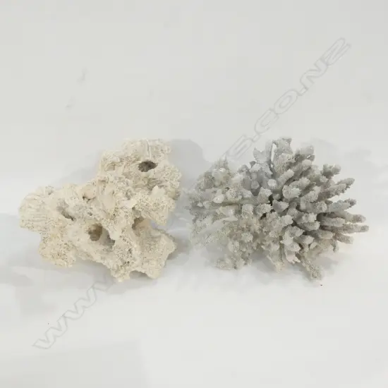 TWO PCS CORAL