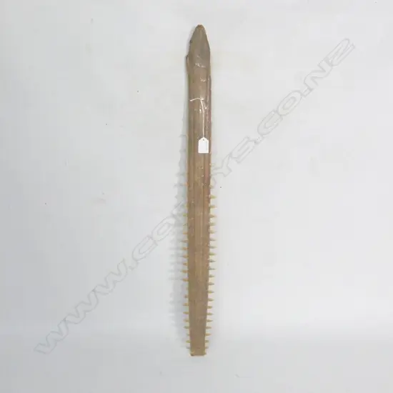 SAW FISH BILL TROPHY