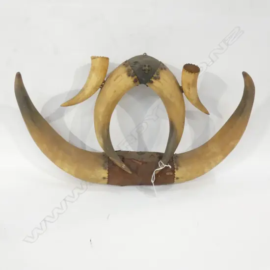 LODGE BUFFALO HORNS 