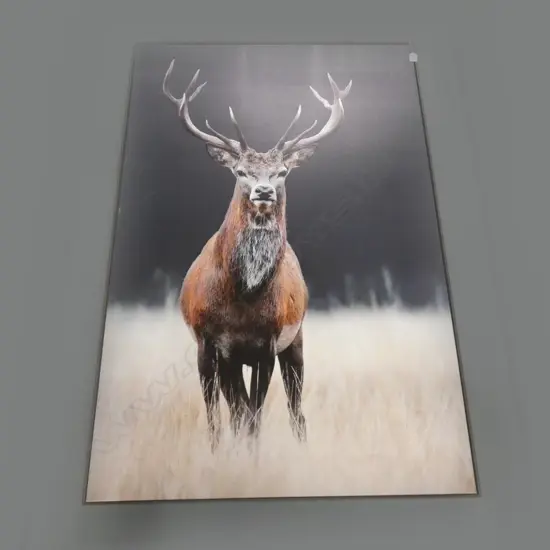LARGE FRAMED STAG PRINT 1350x900mm