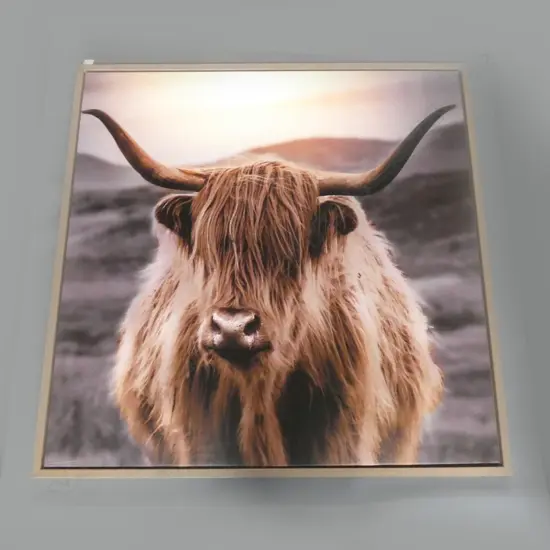 HIGHLAND CATTLE PRINT 1mx1m overall