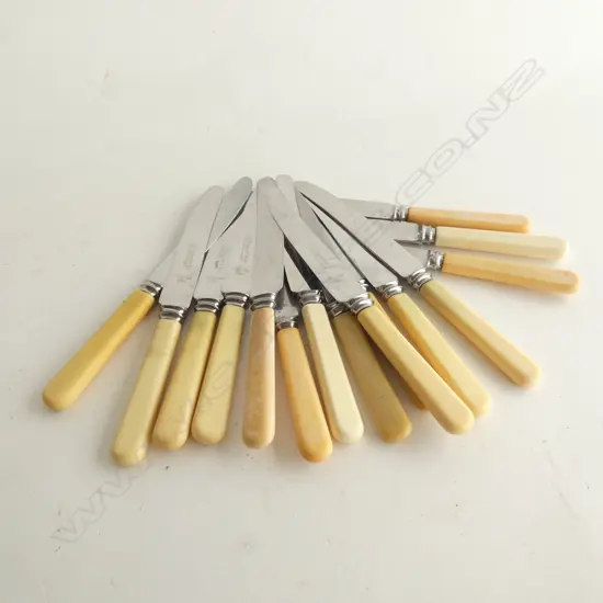 15 ASST. 'BONE' IVORINE HANDLED KNIVES L.205mm