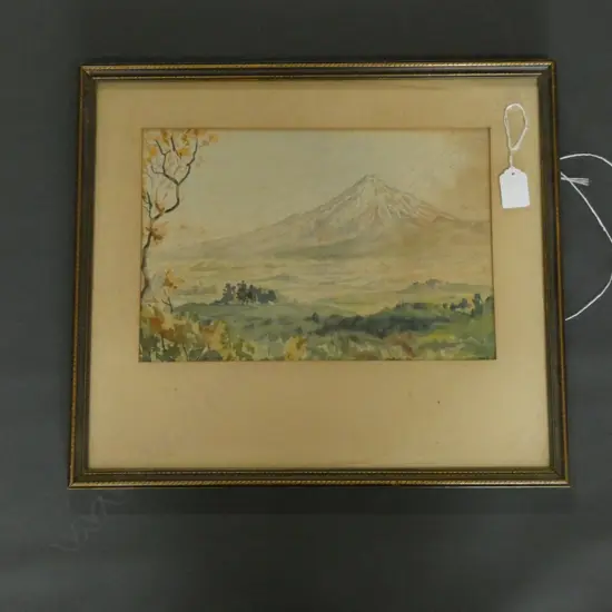 BERNARD ARIS W/C MT TARANAKI 210 X 310mm A.F