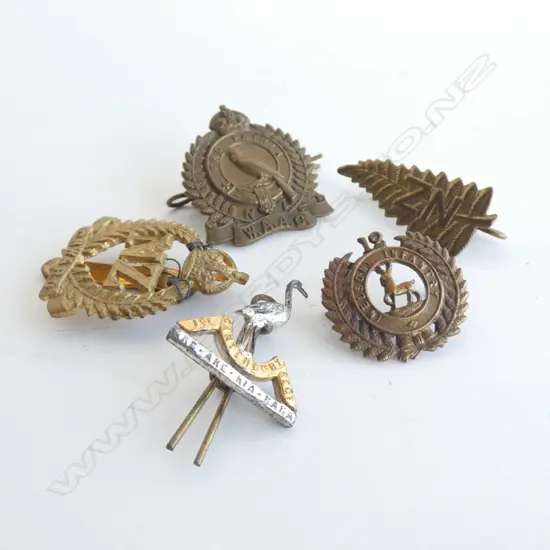 5 ASST. NZ WWI BADGES; NELSON, CANTERBURY, WAAC ETC