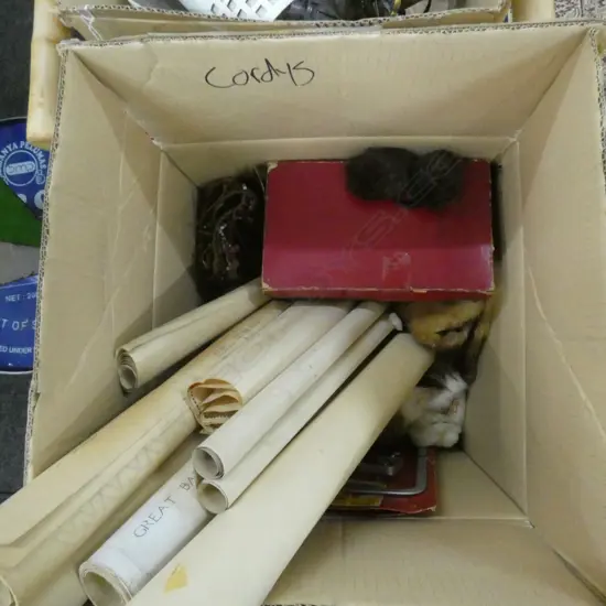 BOX LOT FUR TRIMS, EIDERDOWN, MAPS, BIRD EGGS, SHELLEY ROCK GARDEN TRIO AF