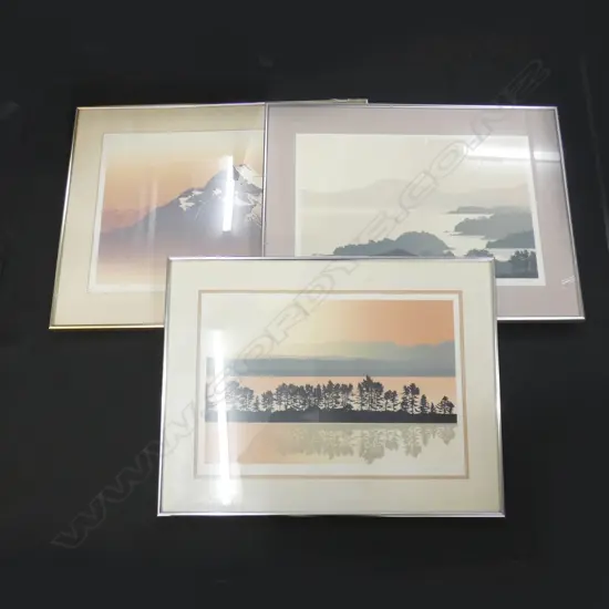 3 LTD ED SIGNED PRINTS - NZ WATER COLOUR SCENES BY CARRIE LEITCH (?) 530 X 380MM