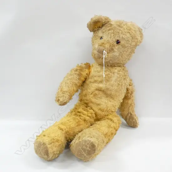 ANTIQUE TEDDY 