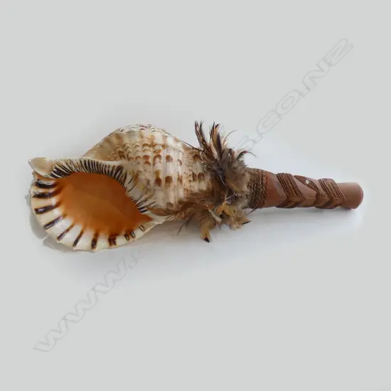 MAORI PUTATARA SHELL TRUMPET CARVED WOODEN HANDLE L.430mm