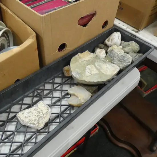 TRAY OF ASST. FOSSILS