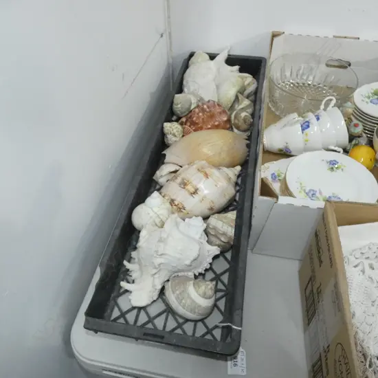 TRAY OF ASST. SHELLS