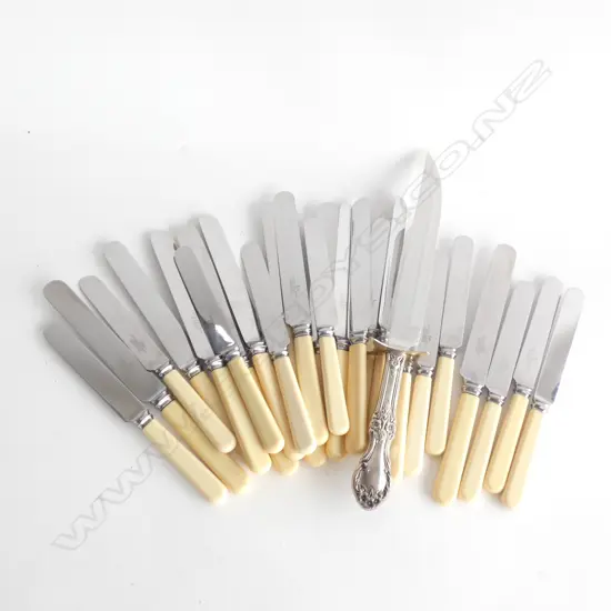 LG BAG CELLULOID HANDLE KNIVES + EP CARVER W. STAINLESS STEEL BLADE