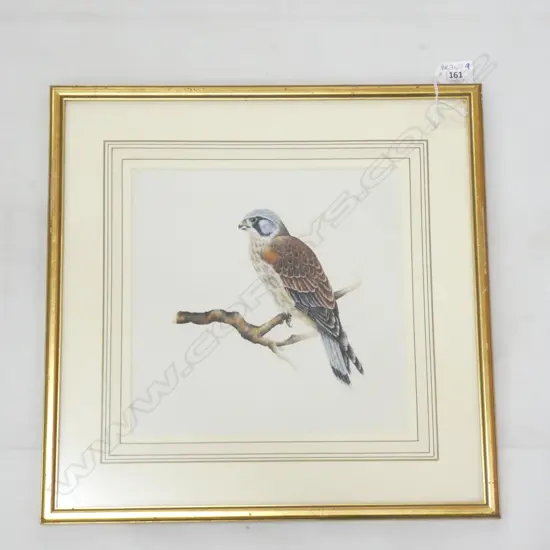 ALISON ORMSBY BIRD PAINTING 1985 230x225mm