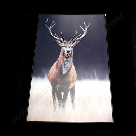 FRAMED DEER ON CANVAS PHOTO PRINT...