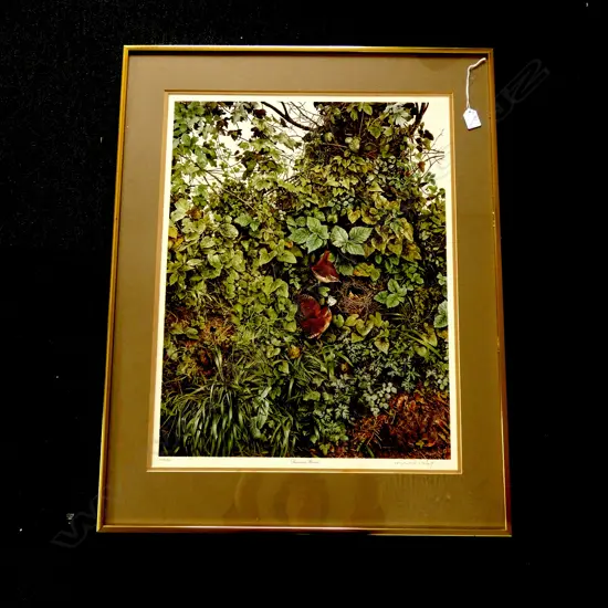 RAYMOND CHING LTD ED PRINT 'SUMMER WRENS' 148/850