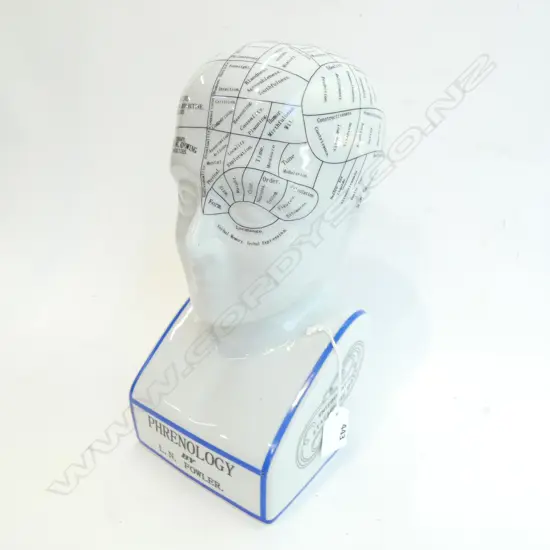PORCELAIN PHRENOLOGY MODEL BUST H. 280MM