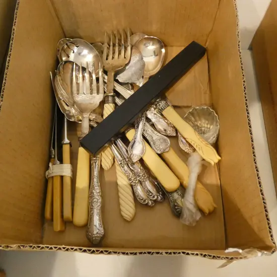 BOX LOT CUTLERY; BONE ETC..
