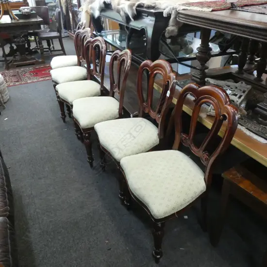 6 MAHOGANY VICTORIAN STYLE ADMIRALTY BACK CHAIRS 