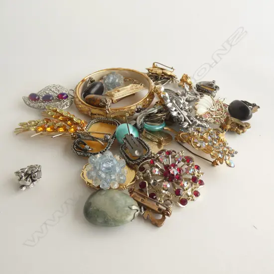 BAG ASST. COSTUME BROOCHES & EARRINGS ETC