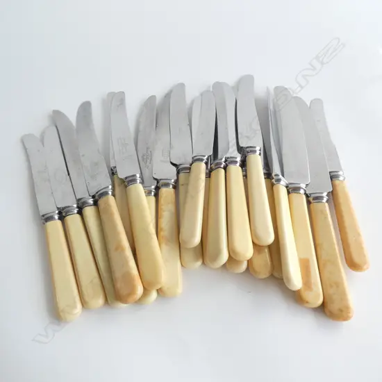 21 IVORINE 'BONE' HANDLED KNIVES