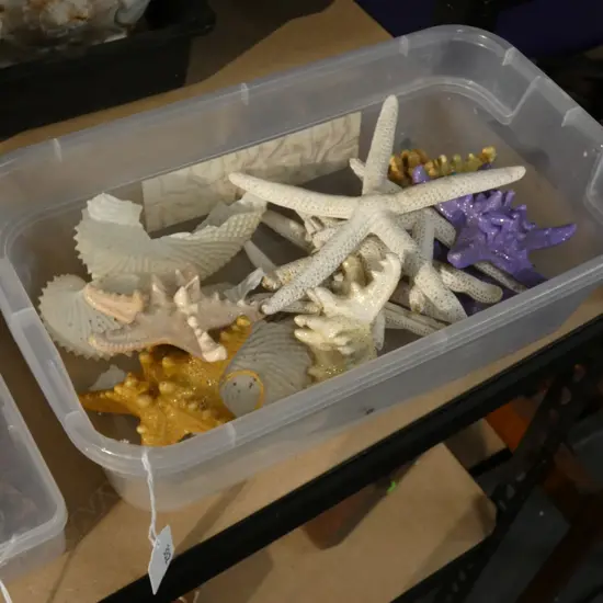 SM BOX ASST SHELLS INCL STARFISH (SOME PAINTED) ETC..