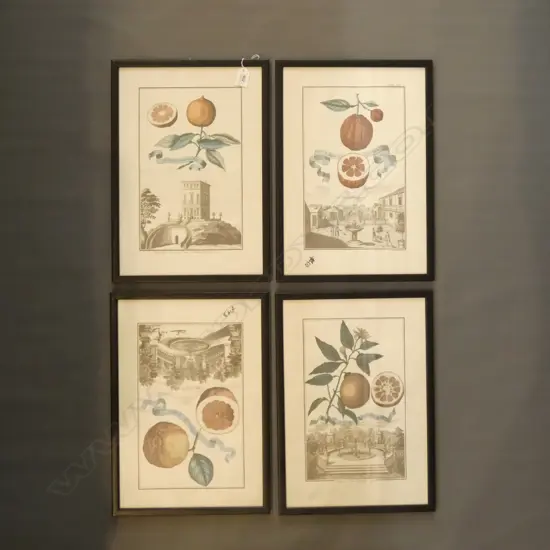 SET 4 BLACK FRAMED FRUIT & SCENE PRINTS 315 x 190mm.