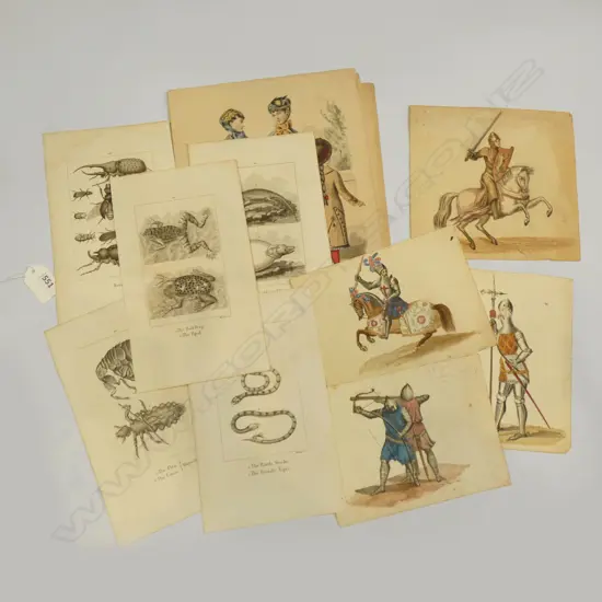 ASST. PRINTS; LADIES FASHIONS 1860s, ANIMALS (FLEAS ETC), 4x SOLDIERS IN ARMOUR W/Cs