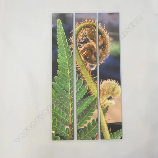 3 PART FERN PHOTOGRAPH ON BOARD