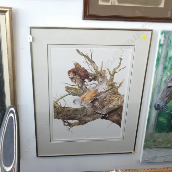 RAYMOND CHING 'KESTRELS' ARTISTS PROOF 18/30 630x465mm