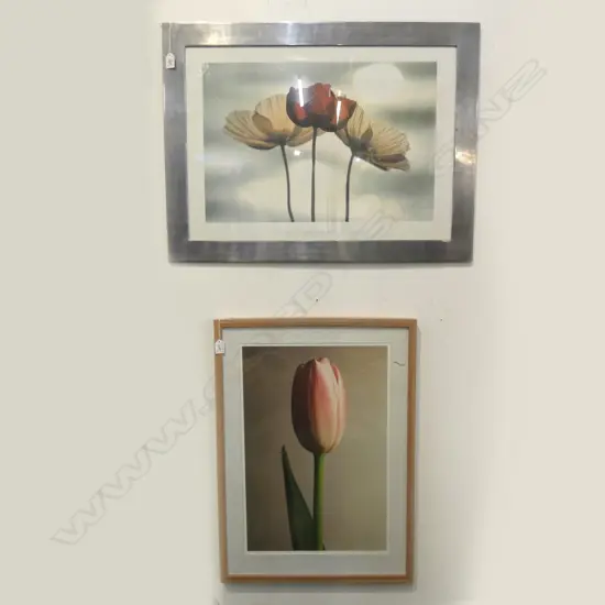 2 ART PRINTS; YOSHIZO KAWASAKI POPPIES + JEFFREY KIRBY TULIP 2/5 565x380mm