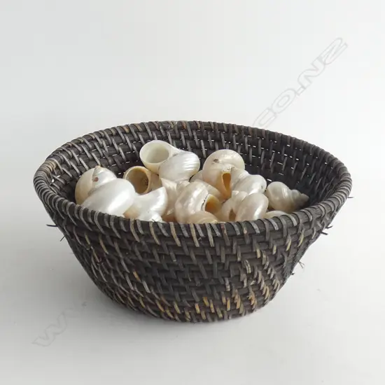 BASKET OF SHELLS 