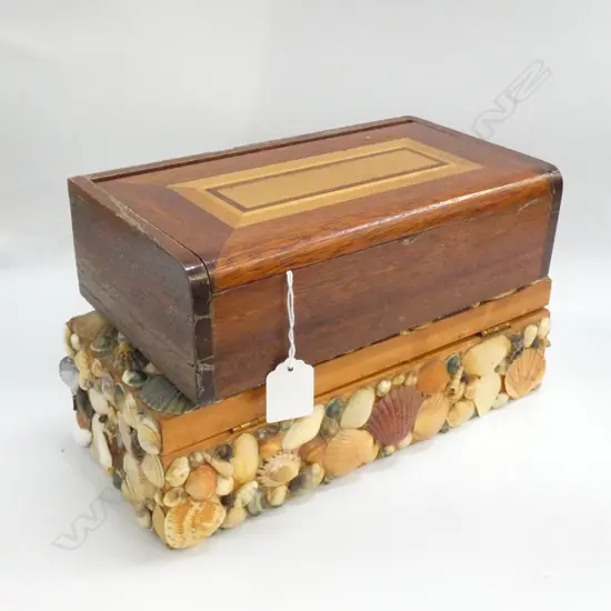 2 BOXES SHELL & INLAID 280MM