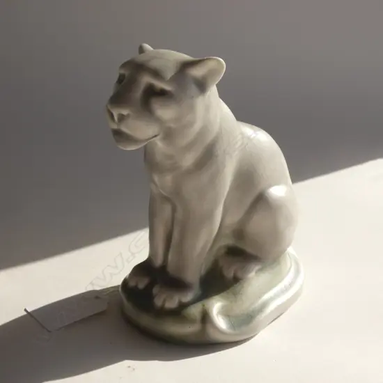 A Royal Lancastrian cougar